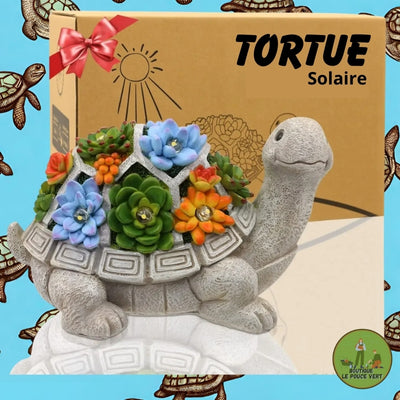 Charmante Tortue de Jardin |Charming Garden Turtle™