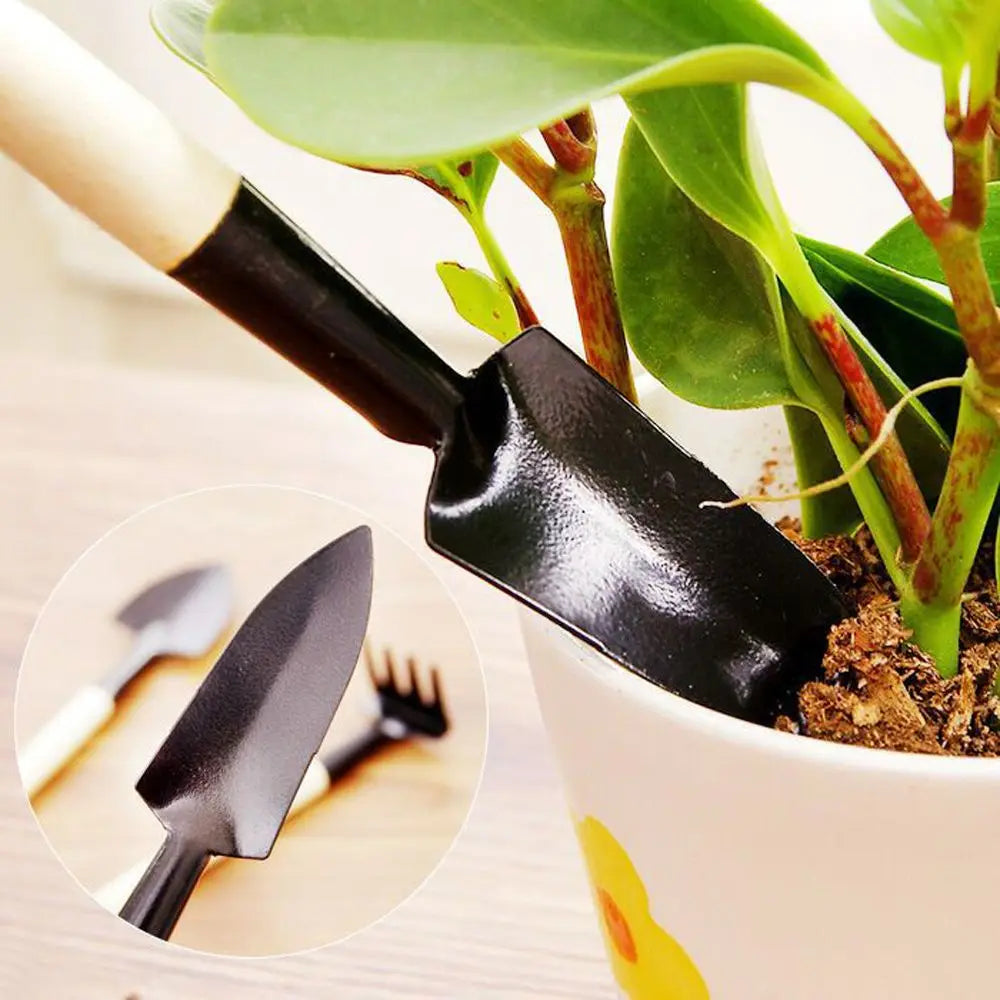 Petits Outils Déco | Potting Tools™ OFFERT SEULEMENT EN OFFRE CADEAU