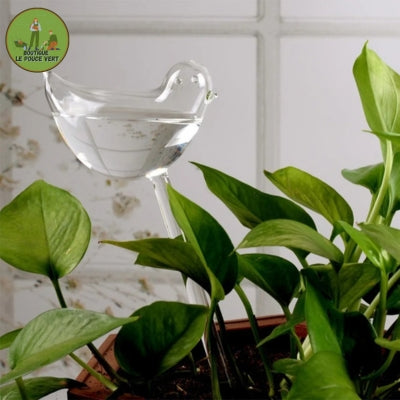Arroseur de plantes Globes auto-arrosants en forme d'oiseau